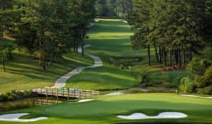 The Gold Course