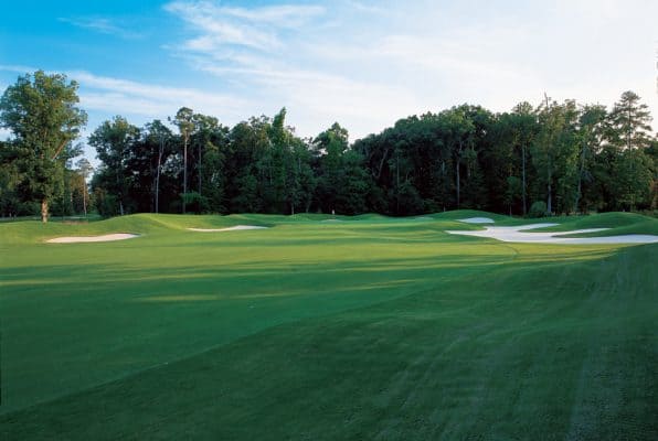 The Green Course at the Golden Horseshoe